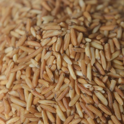 农家自产糙米茶 颗粒饱满 色泽自然均匀 口感香糯 1KG/盒 批发图4