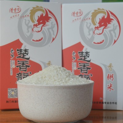 香米粥 米质细腻 绵软鲜嫩 家用餐饮大米煮粥煮饭大米 1KG/盒装图5