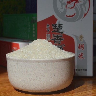 香米粥 米质细腻 绵软鲜嫩 家用餐饮大米煮粥煮饭大米 1KG/盒装图3