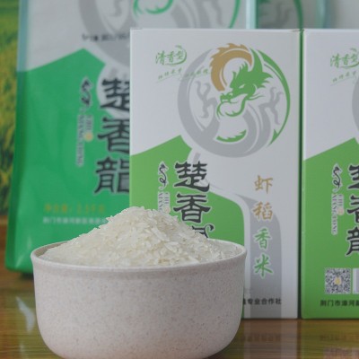 虾稻香米（轻碾） 煮饭煲粥大颗饱满香米 香味四溢 软滑可口图4