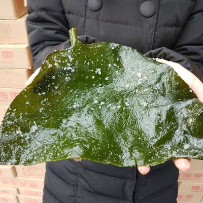 【亏本冲量】荣成盐渍海带头海带根丝片结厚新鲜昆布半干货 5斤装