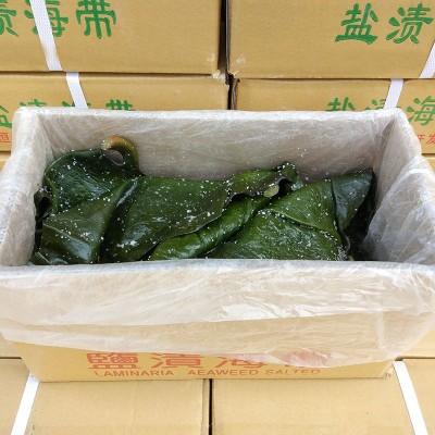 【亏本冲量】荣成盐渍海带头海带根丝片结厚新鲜昆布半干货 5斤装图5