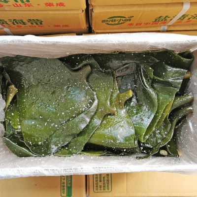 【亏本冲量】荣成盐渍海带头海带根丝片结厚新鲜昆布半干货 5斤装图2