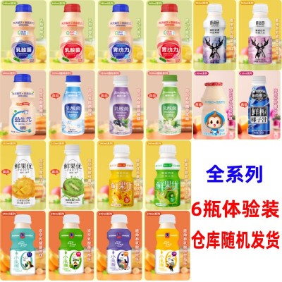 胃动力益生元乳酸菌饮品340ml*12瓶整箱益生菌牛奶饮料酸奶早餐图2