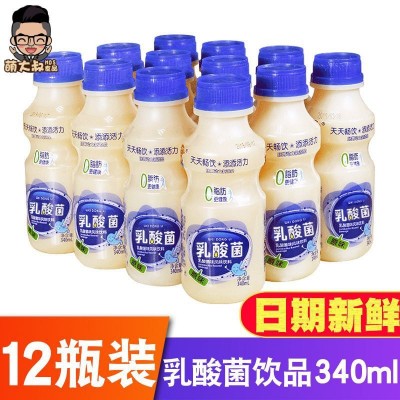 胃动力益生元乳酸菌饮品340ml*12瓶整箱益生菌牛奶饮料酸奶早餐