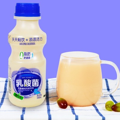 胃动力益生元乳酸菌饮品340ml*12瓶整箱益生菌牛奶饮料酸奶早餐图5
