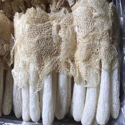 农家土特产古田竹荪批发产地直供竹笙无硫熏本色食用菌干货500克图4