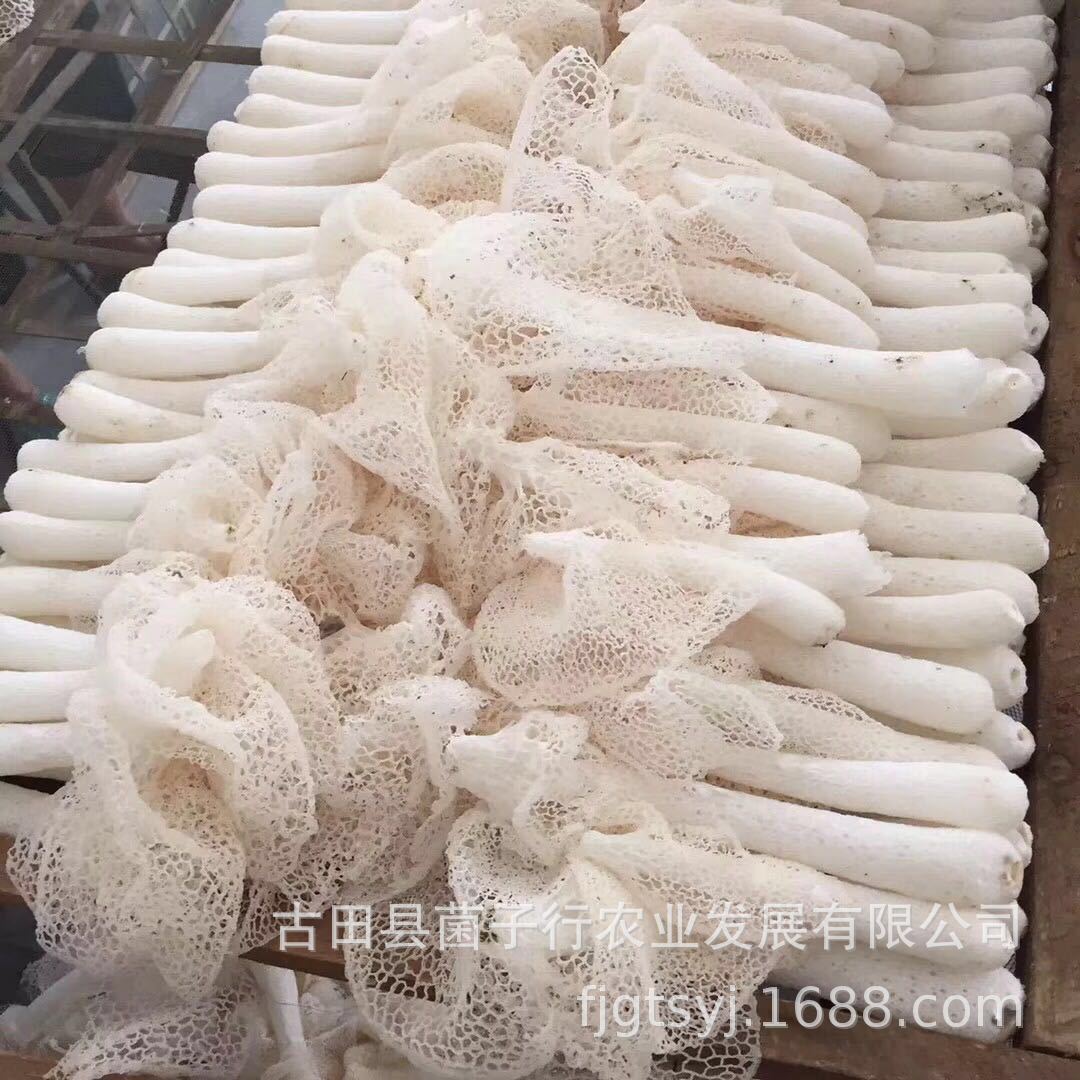 微信图片_20190715213036