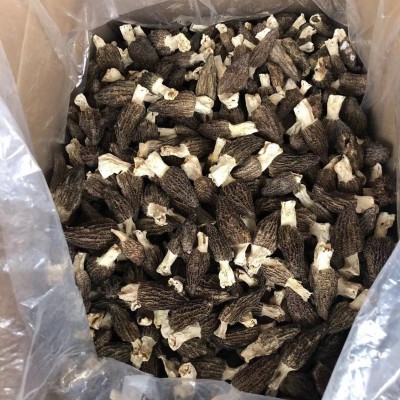 热门网红产品 春羊肚菌 云南昆明干货 菌菇散装一斤批发图4
