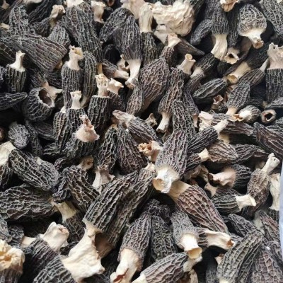 热门网红产品 春羊肚菌 云南昆明干货 菌菇散装一斤批发图3
