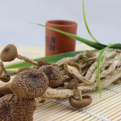 茶树菇批发 真正冰菇苞 不开伞 好品质产地直销一件代发图3