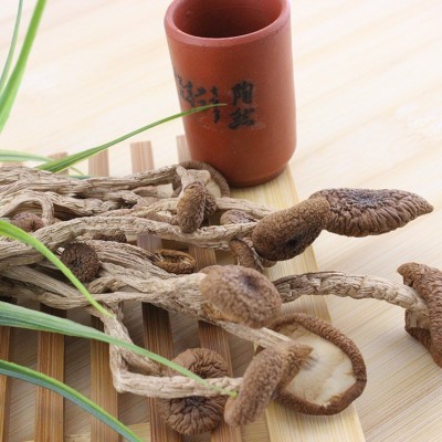 茶树菇批发 真正冰菇苞 不开伞 好品质产地直销一件代发图2