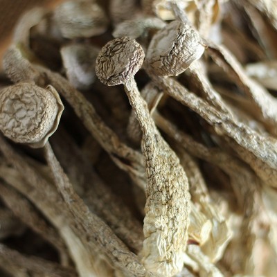 鹿茸菇鹿茸菌干货500g鹿茸菇干货鹿茸菌干货食用菌批发特色菌菇图2