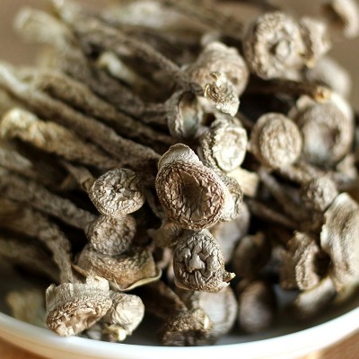 鹿茸菇鹿茸菌干货500g鹿茸菇干货鹿茸菌干货食用菌批发特色菌菇图4