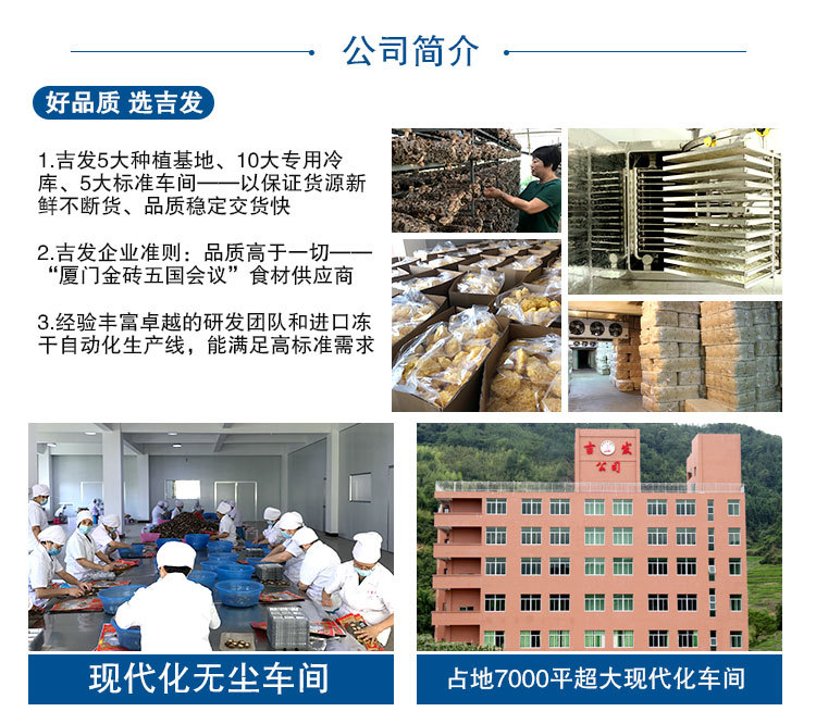 公司简介 详情
