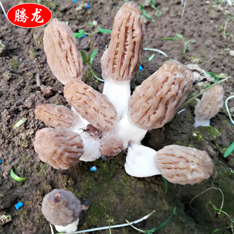 微信图片_2019050510335115.jpg
