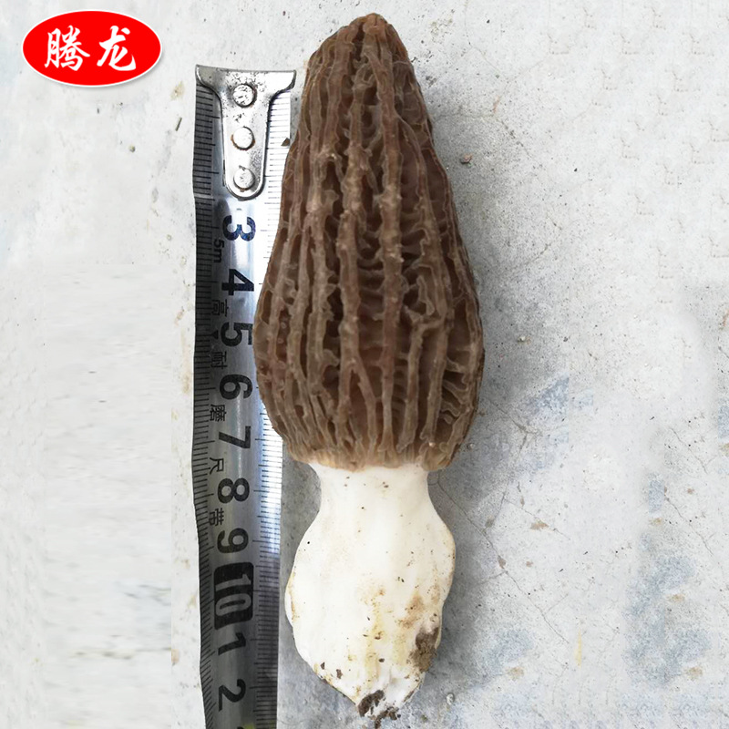 微信图片_2019050510335112.jpg