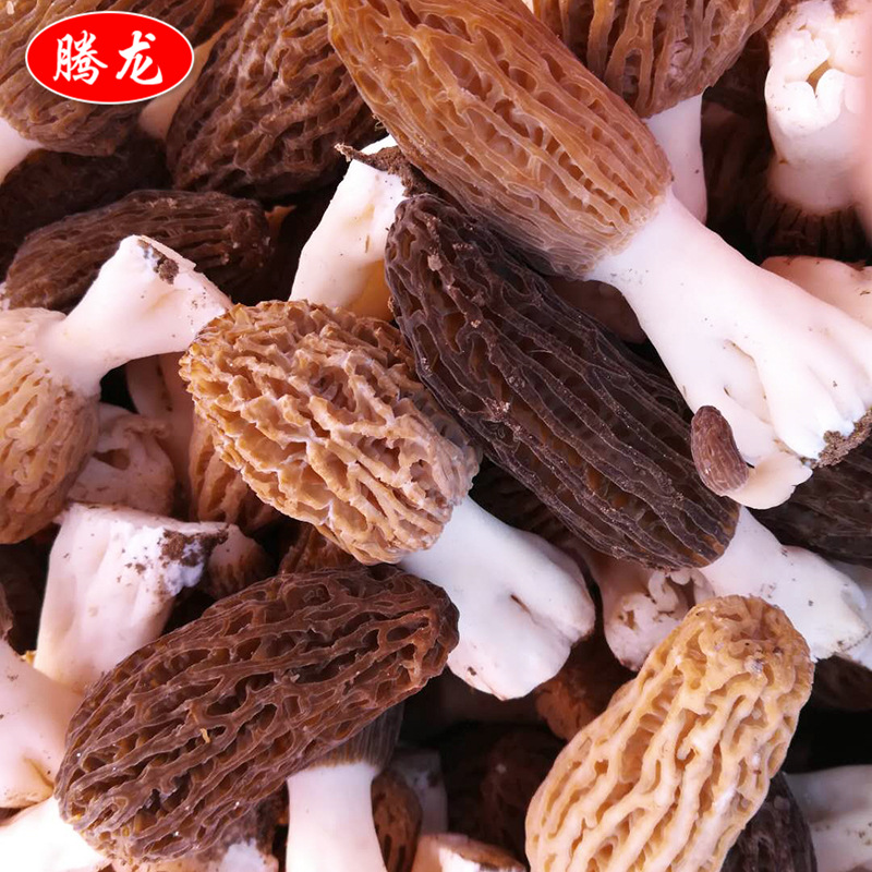 微信图片_2019050510335114.jpg