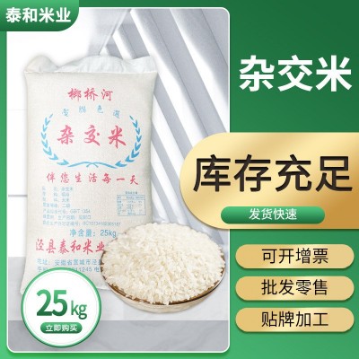 安徽大米杂交米25kg 优质长粒米厂家批发团购 食堂专用图1