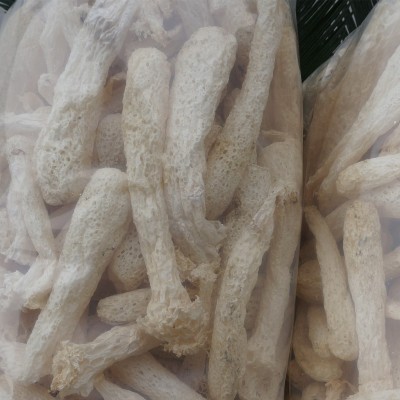 冠发 古田特产竹荪杆子500g礼袋干货竹笙管无熏硫食用菌批发直销图3
