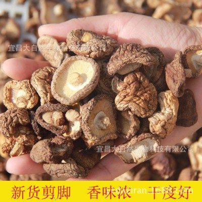 湖北三峡香菇干货剪脚散装碎干香菇片500g自产食用香菇干