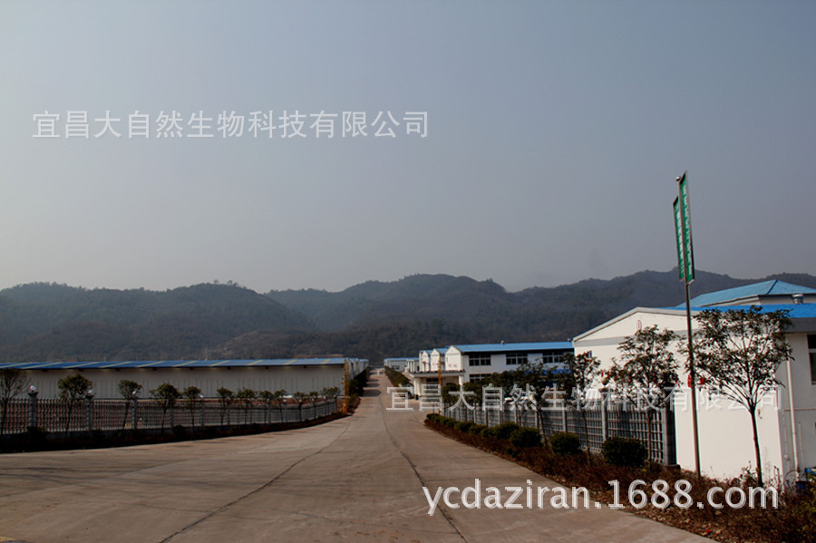 大自然大门