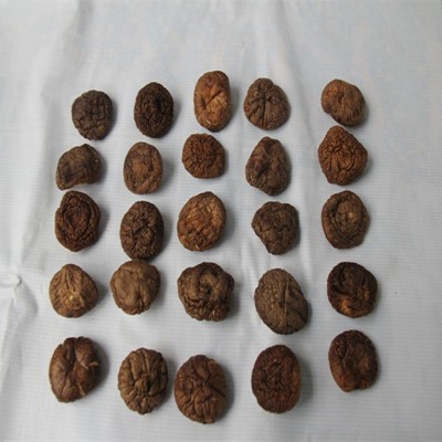 远安特产楚蕈500g散装新货肉厚鲜嫩冬菇100斤基地直批图3