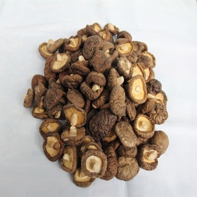 远安特产楚蕈500g散装新货肉厚鲜嫩冬菇100斤基地直批图4