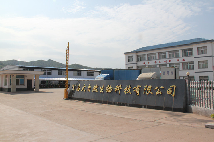 大门