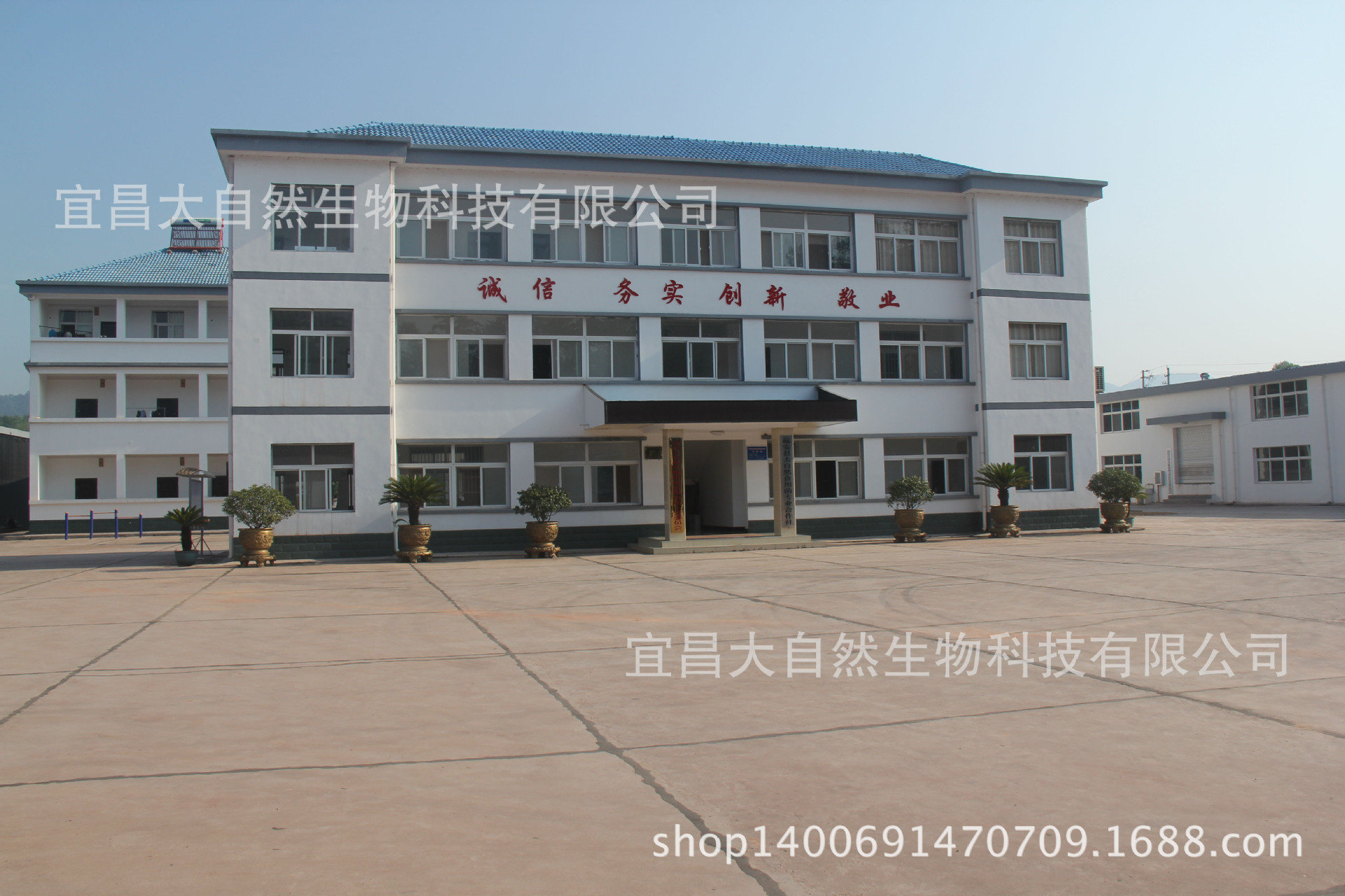 公司办公楼