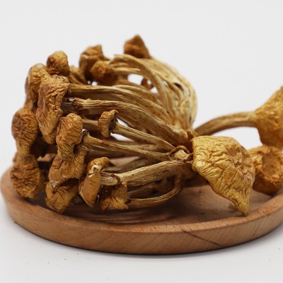 干货农产品产地货源滑子菇食用菌朵型完整珍珠菇散装滑菇批发100g图2