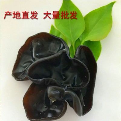 东北黑木耳批发袋装250g黑木耳肉厚1：14倍泡发支持一件代发