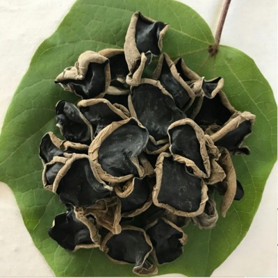 东北黑木耳批发袋装250g黑木耳肉厚1：14倍泡发支持一件代发图4