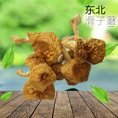 大量批发东北特产长白山食用菌干蘑菇滑子蘑