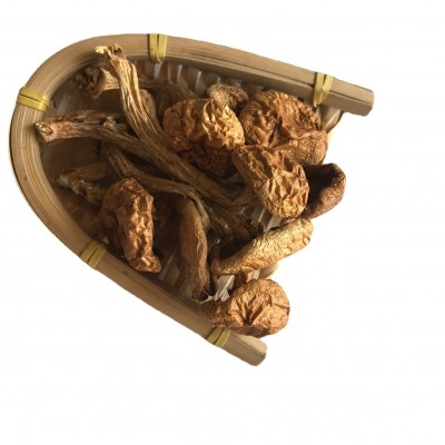 大量批发东北特产长白山食用菌干蘑菇滑子蘑图3