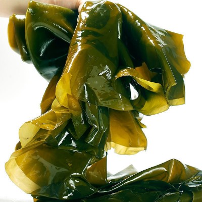 半干海带整棵新鲜批发盐渍特厚裙带菜凉拌海带丝火锅麻辣烫食材图2