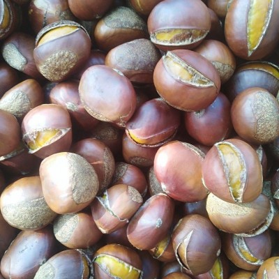 糖炒栗子炒熟现炒板栗即食开口糖炒栗子大个带壳甘栗坚果零食批发图3