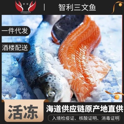 智利进口冷冻三文鱼一整条新鲜刺身生鱼片即食整条13-14斤麦迪