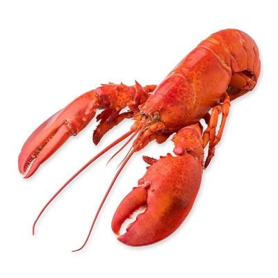熟冻波士顿龙虾 波龙虾300-350g/只 一箱有13只 酒店餐厅食图4