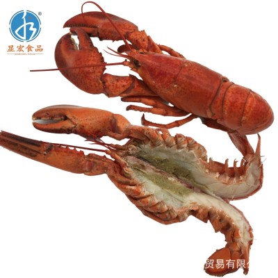 熟冻波士顿龙虾 波龙虾300-350g/只 一箱有13只 酒店餐厅食图2