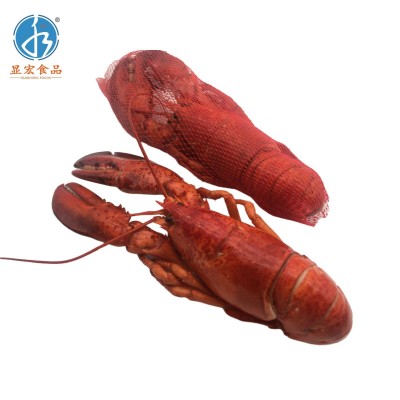 熟冻波士顿龙虾 波龙虾300-350g/只 一箱有13只 酒店餐厅食