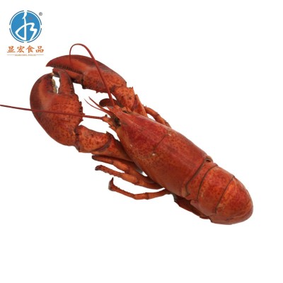 熟冻波士顿龙虾 波龙虾300-350g/只 一箱有13只 酒店餐厅食图5
