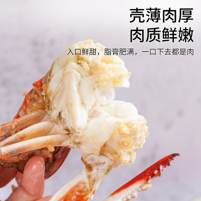 新鲜东海梭子蟹 活冻非鲜活花蟹飞蟹海螃蟹生鲜图5