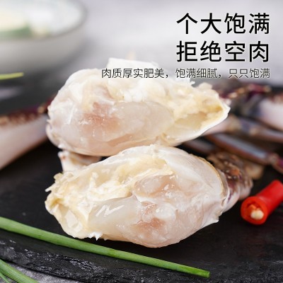 新鲜东海梭子蟹 活冻非鲜活花蟹飞蟹海螃蟹生鲜图4