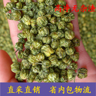 新货质检胎菊批发 胎菊王/胎菊米散装杭白菊 菊花茶胎米产地直发图2
