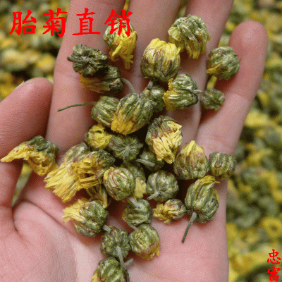 新货质检胎菊批发 胎菊王/胎菊米散装杭白菊 菊花茶胎米产地直发图4