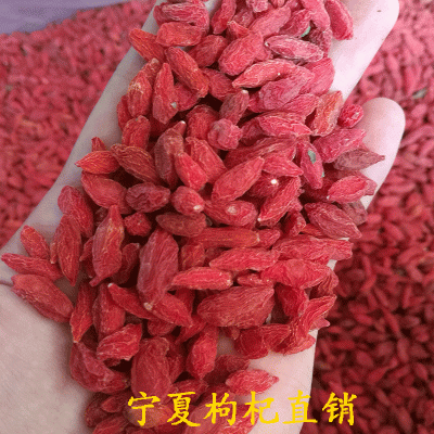 宁夏小枸杞大货批发 净干无生子 红枸杞子大货批发 汤料茶包打粉图3