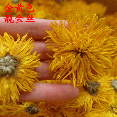 新货批发 黄山七月菊 白菊花新货贡菊花茶 农产品花草果茶叶散装图4