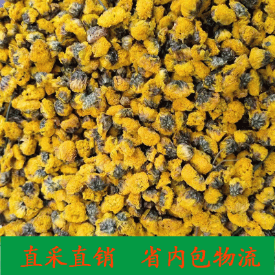新货 黄金菊 野菊花 金菊500g 黄菊花茶大货批发 花草果茶叶散装图4
