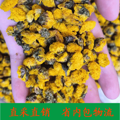 新货 黄金菊 野菊花 金菊500g 黄菊花茶大货批发 花草果茶叶散装图2